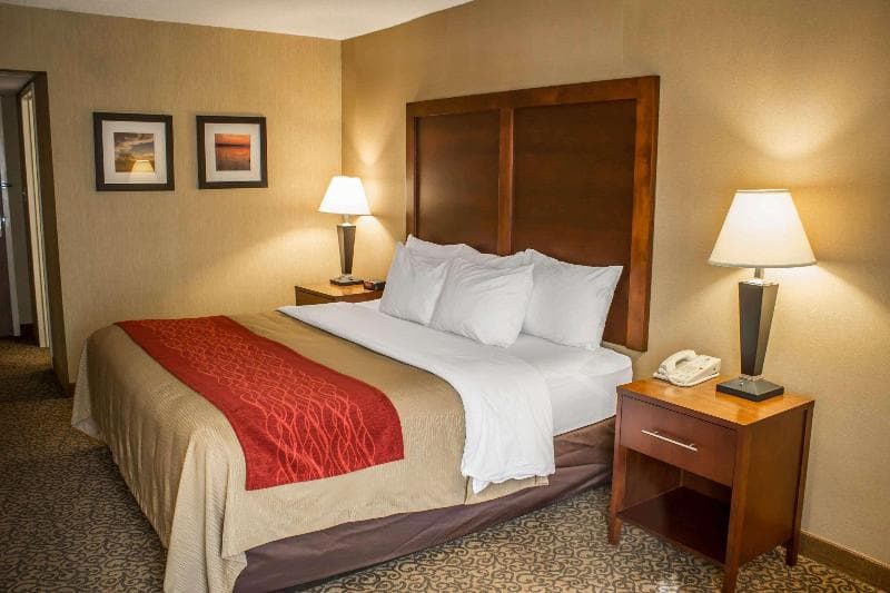 Comfort Inn Research Triangle Park 5