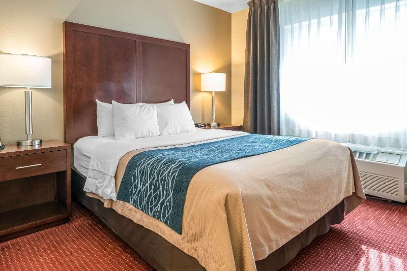 Comfort Inn (Lacey) 2