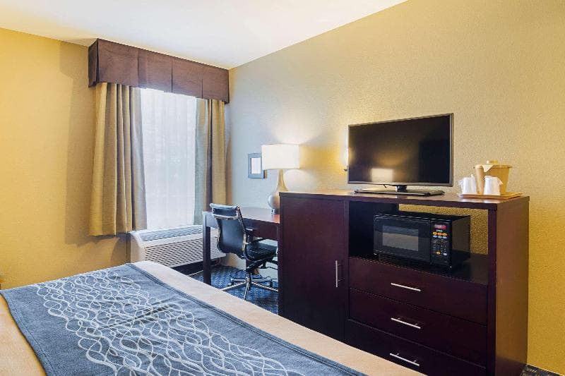 Comfort Inn & Suites Sea-Tac Airport photo 1