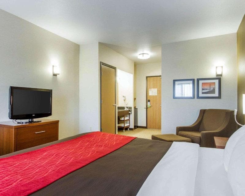 Comfort Inn & Suites San Francisco Airport West 2