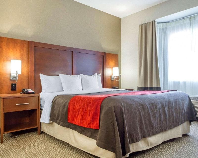 Comfort Inn & Suites San Francisco Airport West 4