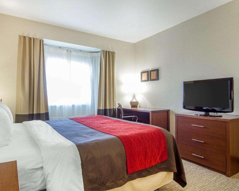 Comfort Inn & Suites San Francisco Airport West 5