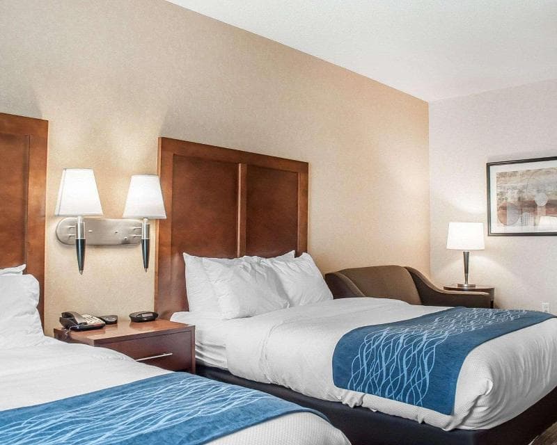 Comfort Inn & Suites 5