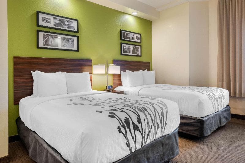 Spot X Hotel - Tampa Bay North 3
