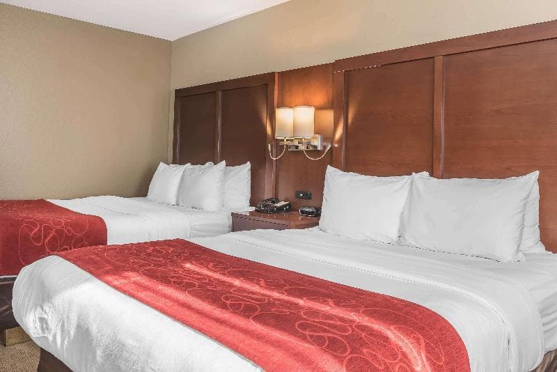 Comfort Suites Mason 2