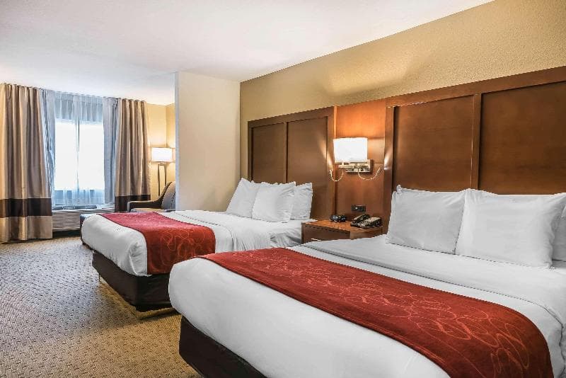 Comfort Suites Mason 5