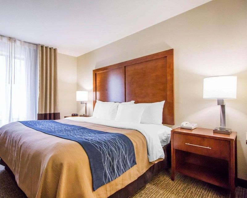 Comfort Inn & Suites 3