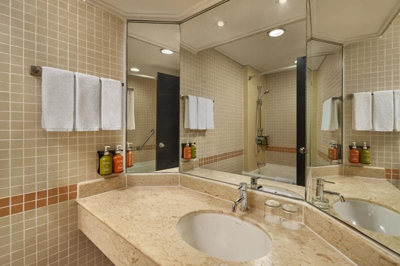 Holiday Inn Atrium 5