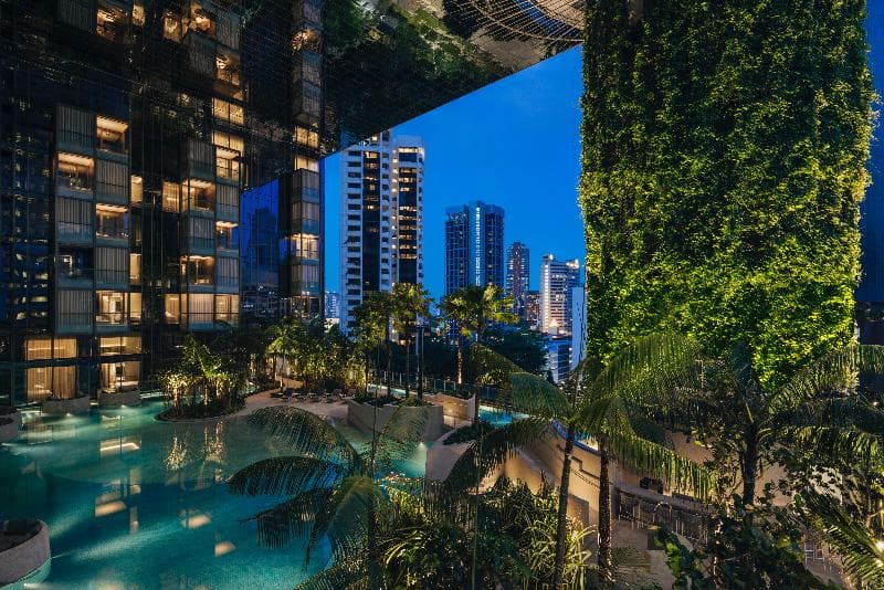 Pan Pacific Orchard 5