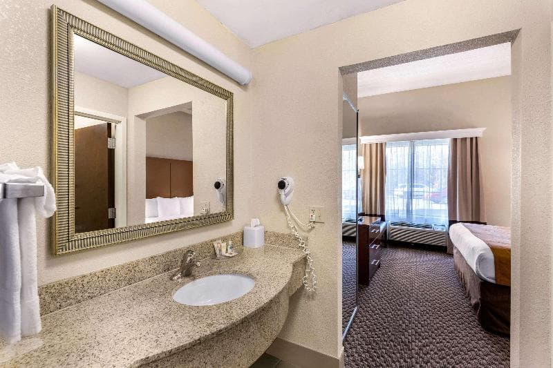 Comfort Suites Columbia Gateway 3