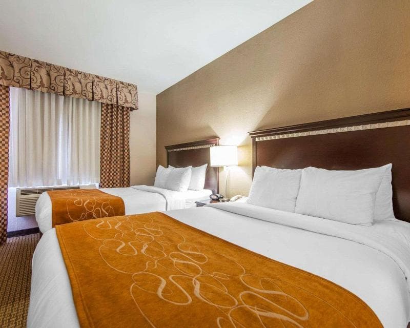 Comfort Suites (London) 4