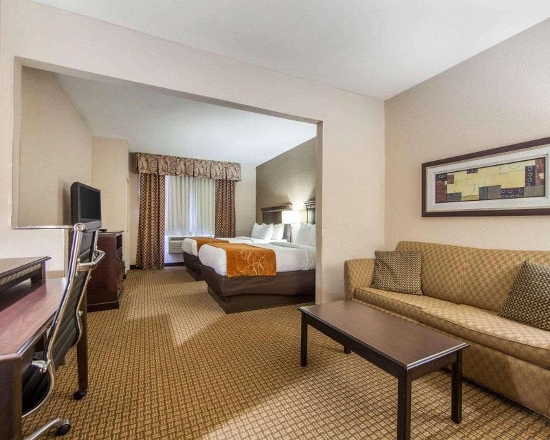 Comfort Suites (London) 5