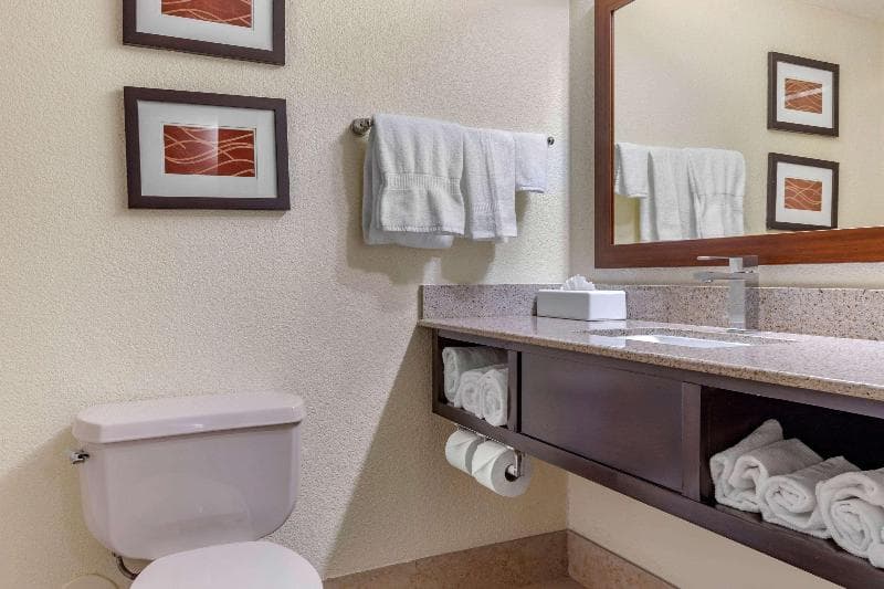 Comfort Inn & Suites Lake Norman 2