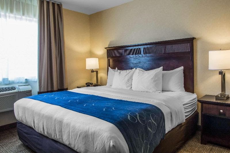 Comfort Suites Lake Geneva East 5