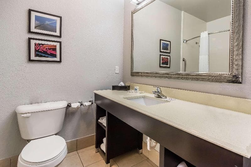 Comfort Suites Saint Charles 2