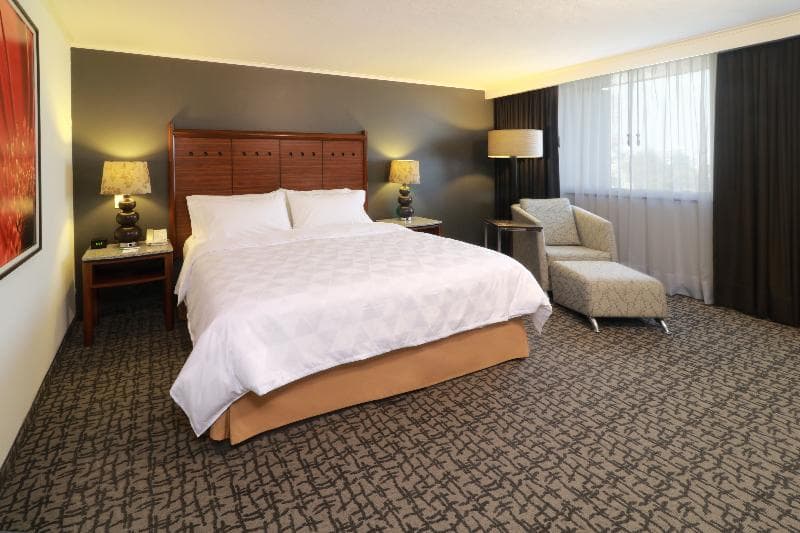 Holiday Inn Ciudad de Mexico Trade Center 2