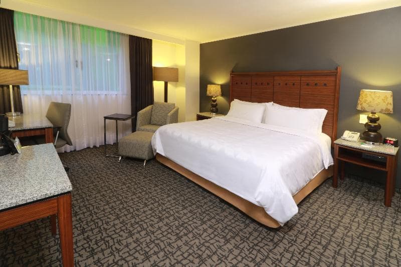 Holiday Inn Ciudad de Mexico Trade Center 4