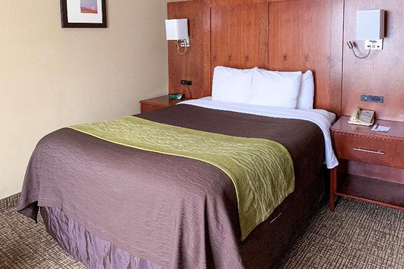 Comfort Inn & Suites North photo 1