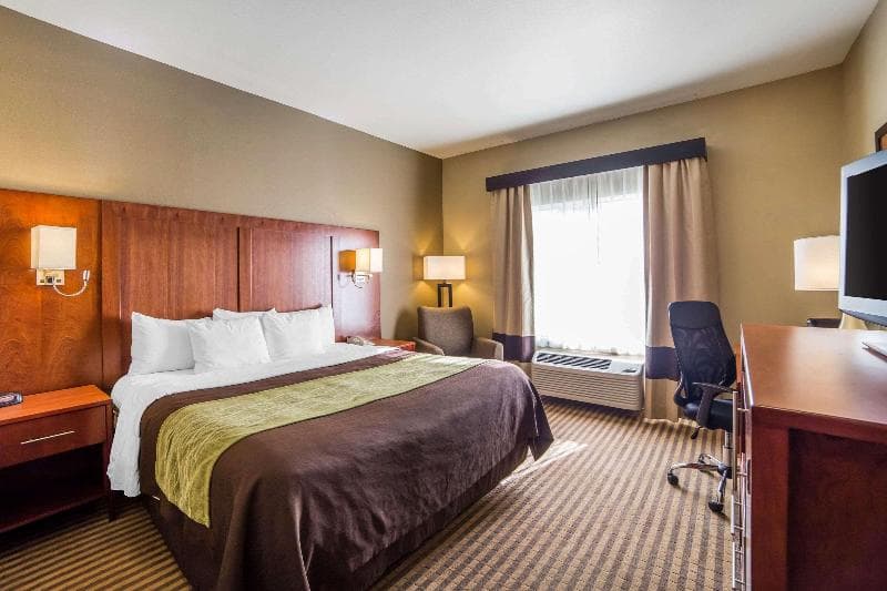 Comfort Inn & Suites North 2