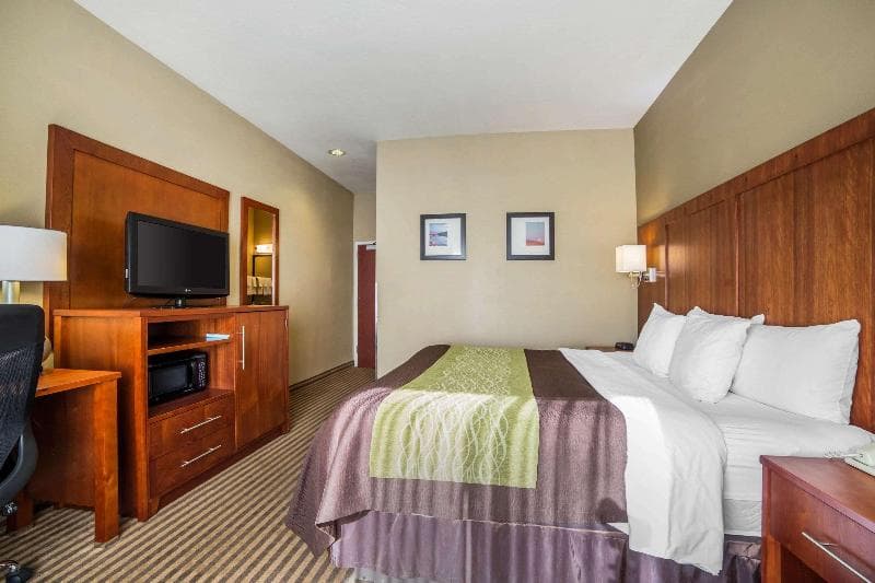 Comfort Inn & Suites North 3