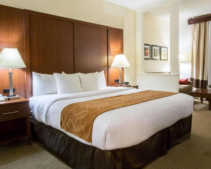 Comfort Suites Cumming 3