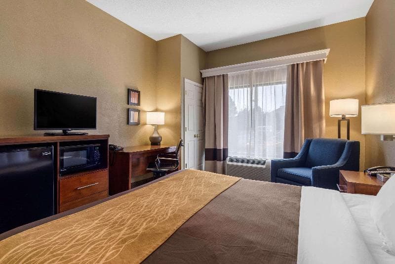 Comfort Inn & Suites Peachtree Corners 3