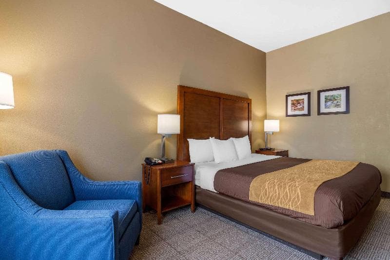 Comfort Inn & Suites Peachtree Corners 4