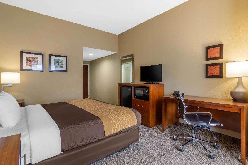 Comfort Inn & Suites Peachtree Corners 5