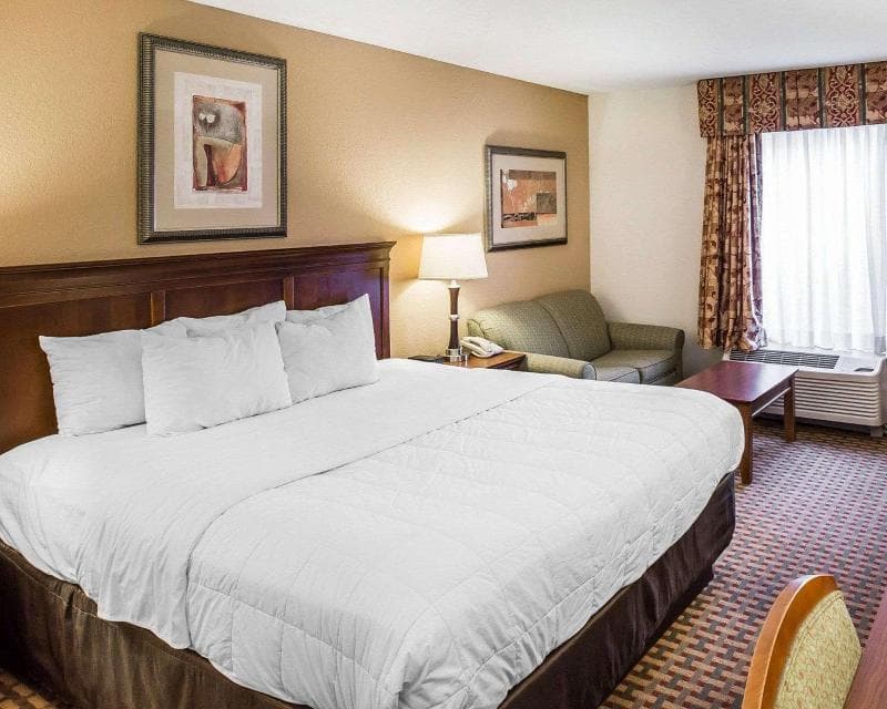 Quality Inn & Suites Dawsonville 2