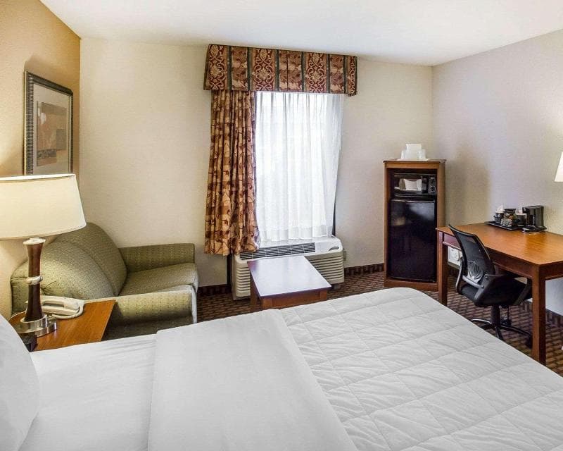Quality Inn & Suites Dawsonville 4