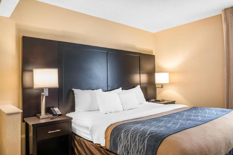 Comfort Inn & Suites Galleria photo 1