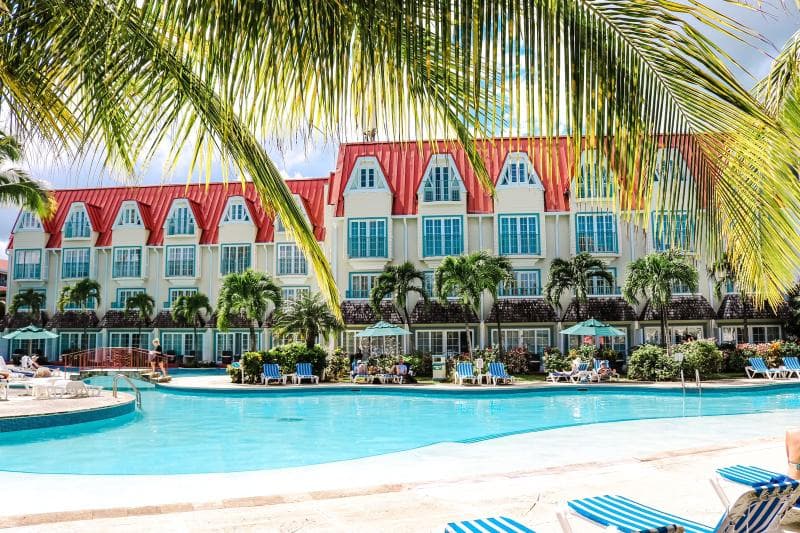 Coco Palm 3