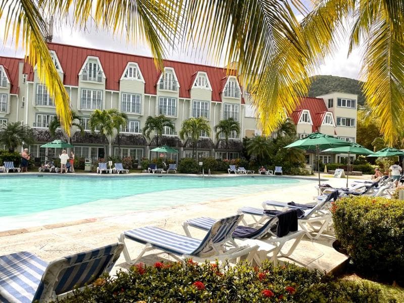Coco Palm 4