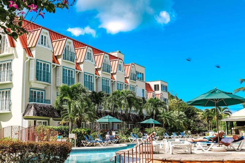 Coco Palm 5