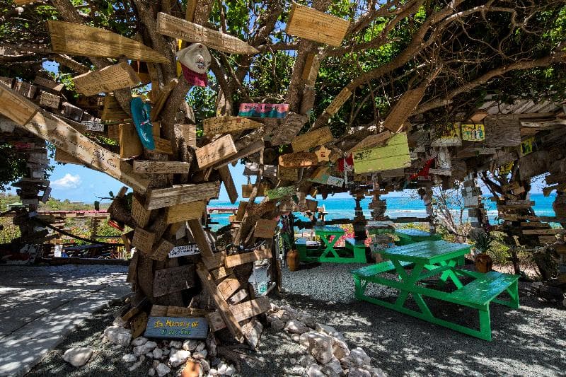 Pineapple Beach Club Antigua - Adults Only – All Inclusive 2