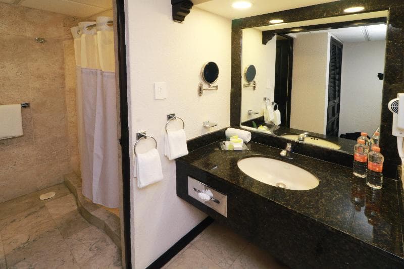 Holiday Inn San Luis Potosi-Quijote 3