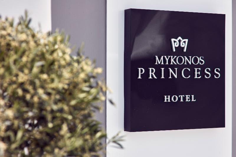Mykonos Princess 2