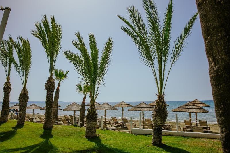 The Golden Bay Beach Hotel 5