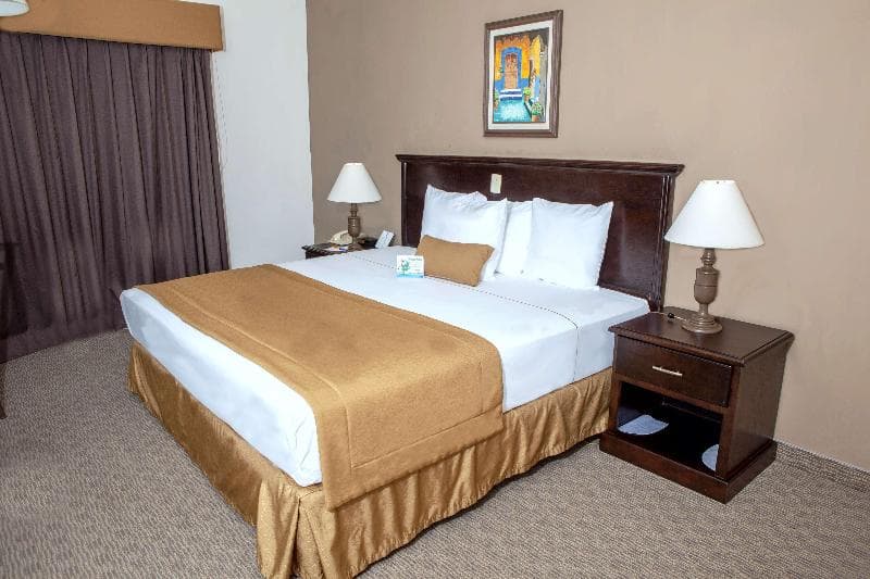 Best Western Hotel Posada Del Rio Express 3