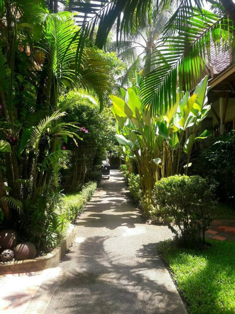 Bangtao Village Resort 2