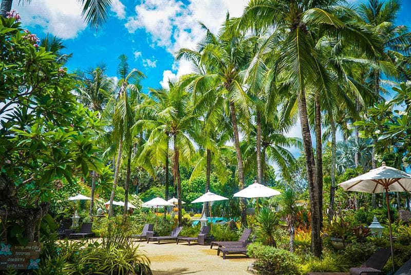 Thavorn Palm Beach 2