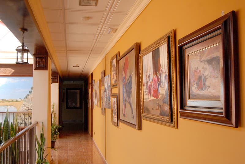 Pinomar 5