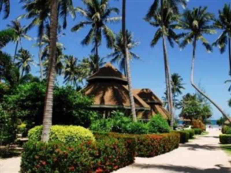 Koh Tao Coral Grand Resort photo 1
