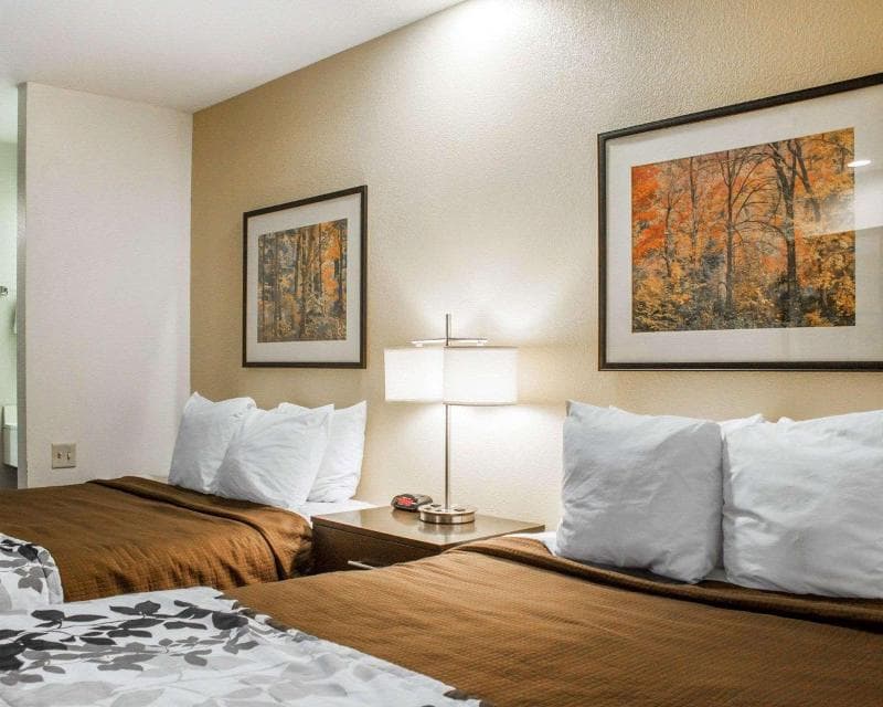 Rodeway Inn Airport 3