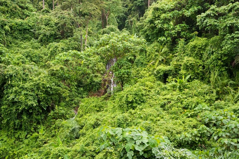 Sylvan Koh Chang 4