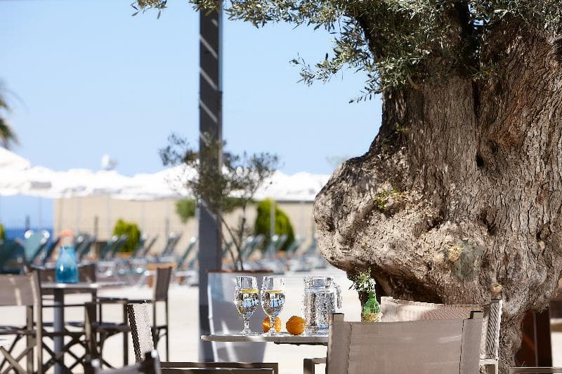 Arminda Hotel & Spa 3