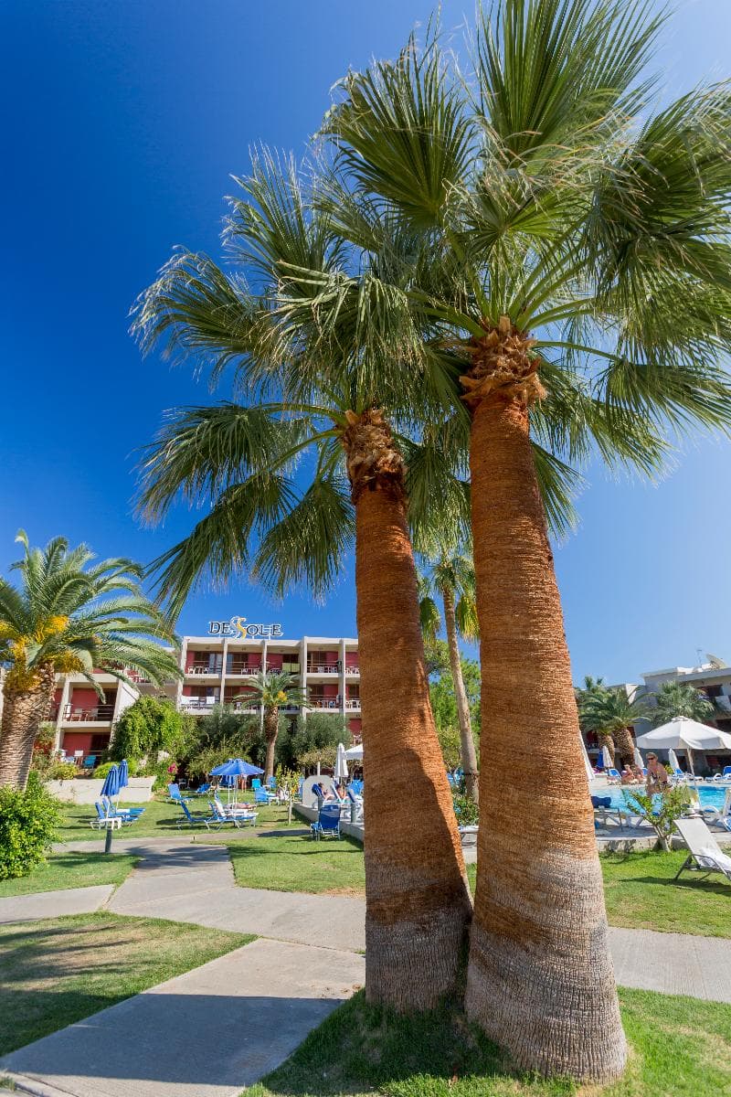 Dessole Malia Beach 4