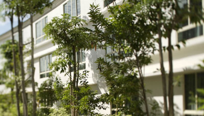 Amara Sanctuary Resort Sentosa photo 1
