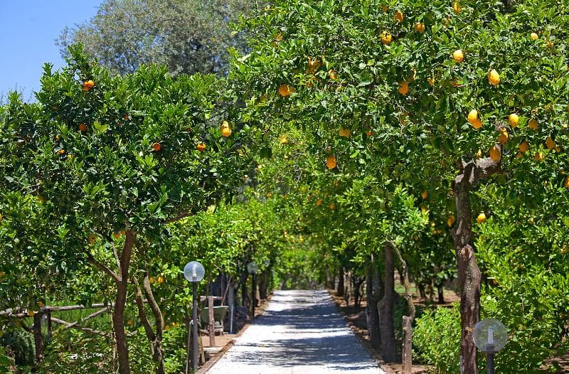 Villa Oriana Relais photo 1
