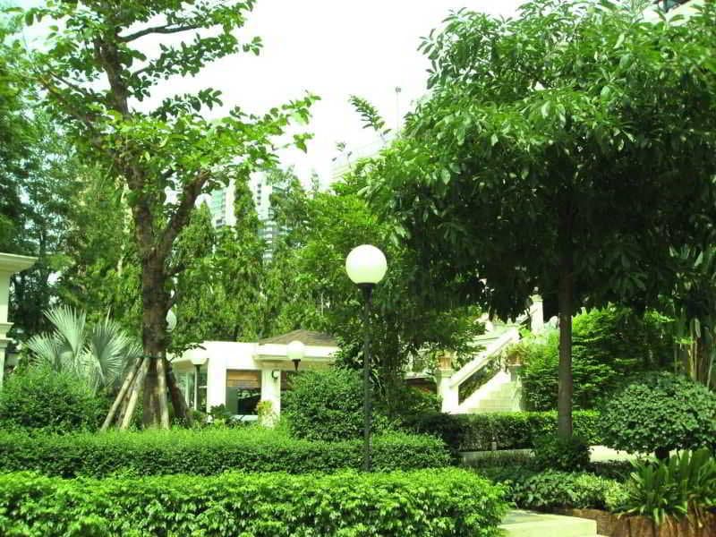 Ariston photo 1